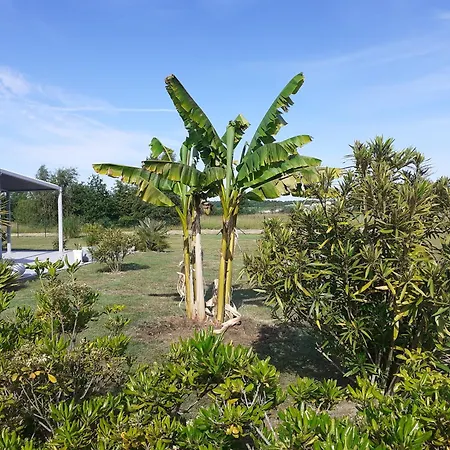 Oceane Bed & Breakfast *